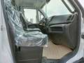 Iveco Daily 35C16  IVECO DAILY 35C MOD. 2025 RIBALTABILE TRILA Bianco - thumbnail 10