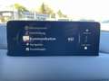 Mazda CX-5 2.5L SKYACTIV-G 194 FWD AT Homura Bleu - thumbnail 10
