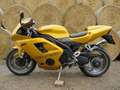 Triumph Daytona 955i Geel - thumbnail 1