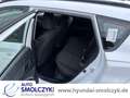 Hyundai BAYON 1.0 T MJ25 TREND NAVI+KAMERA+PDC+DAB+ Fehér - thumbnail 10