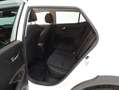 Kia Stonic 1.0 T-GDi Concept Eco-Dynamics 88 kW Blanco - thumbnail 12