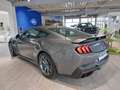 Ford Mustang Coupe Dark Horse 5.0l NAVI*IACC*B&O*SBL Grau - thumbnail 5