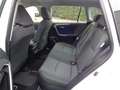 Toyota RAV 4 Rav4 2.5 2wd 218cv Hybrid - thumbnail 13