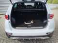 Kia Sportage GT-Line 4WD Pano Navi 360°Kam LED AHZ Blanc - thumbnail 15