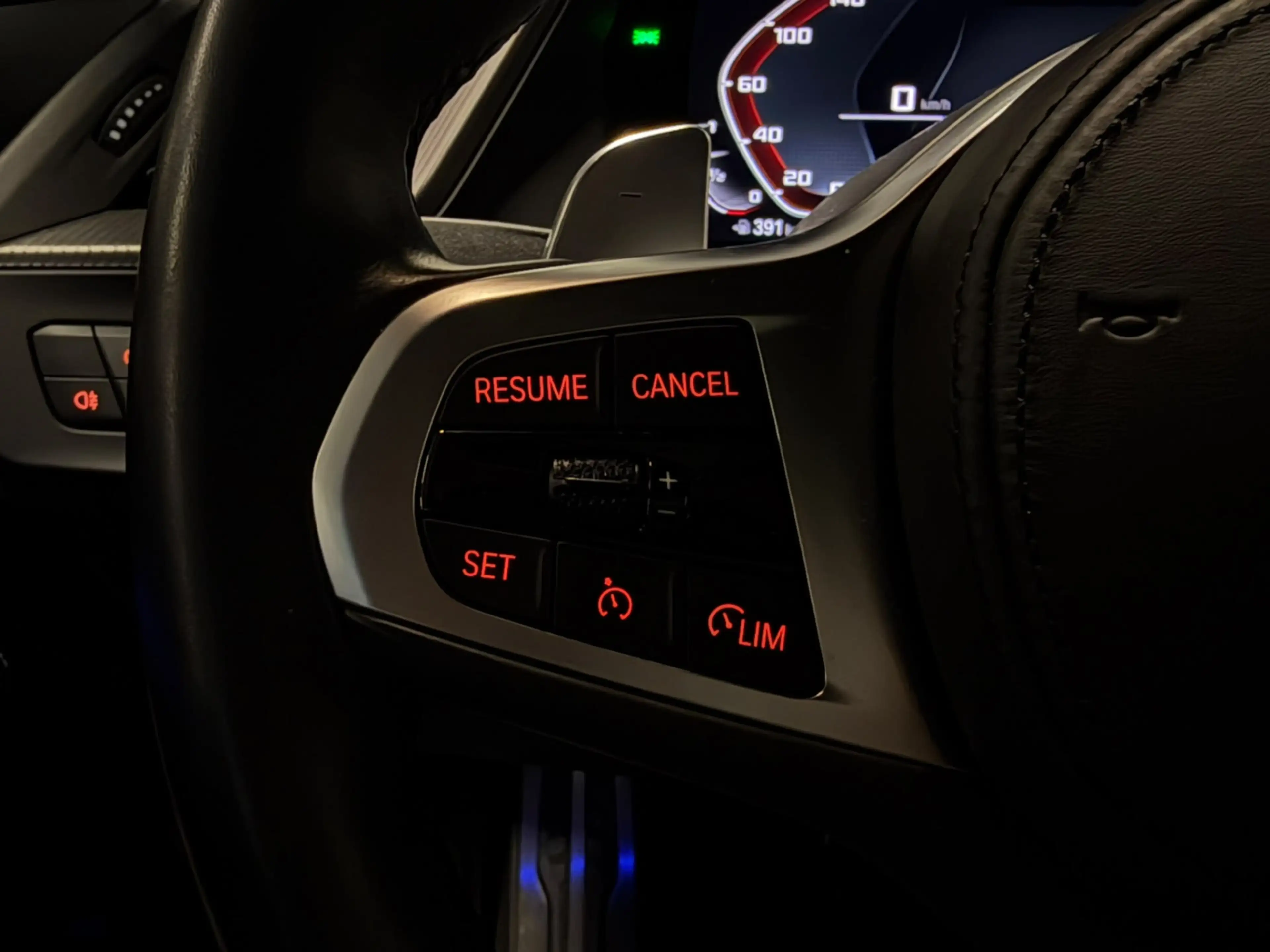 BMW 135 1-serie M135i xDrive Edition M Performance Panodak — photo 18