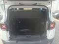 Jeep Renegade 1.3 T4 DDCT Limited Weiß - thumbnail 14