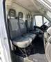 Fiat Ducato 2.3 MultiJet L2H2 Automaat, Luchtvering Blanc - thumbnail 4