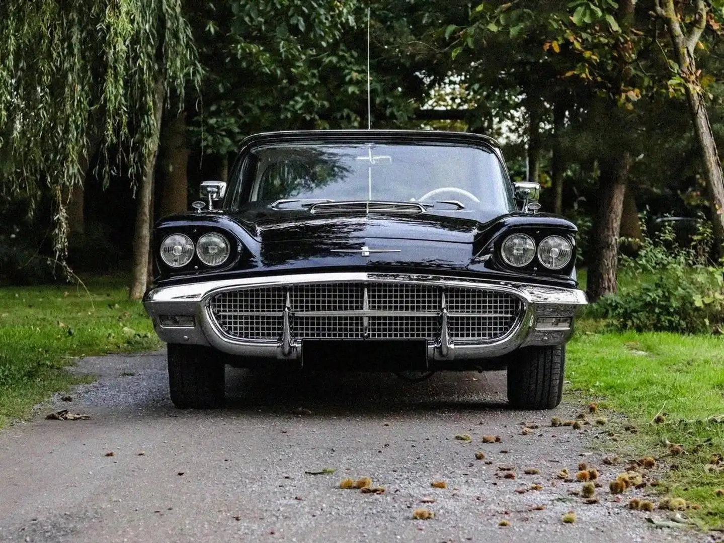Ford Thunderbird Thunderbird Fekete - 2