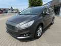 Ford S-Max S-Max 2.0 TDCi Titanium (EU6.2) - thumbnail 1