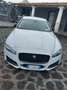 Jaguar XF XF 2.2d R-Sport 200cv auto Bianco - thumbnail 3