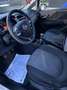 Fiat Punto Evo 1.3 MultiJet II Lounge 75cv DPF Weiß - thumbnail 14