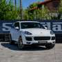 Porsche Cayenne Diesel Platinum Edition Aut. Blanco - thumbnail 1