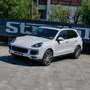 Porsche Cayenne Diesel Platinum Edition Aut. Blanco - thumbnail 7