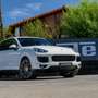 Porsche Cayenne Diesel Platinum Edition Aut. Blanco - thumbnail 12
