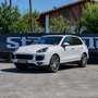 Porsche Cayenne Diesel Platinum Edition Aut. Blanco - thumbnail 3