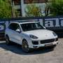 Porsche Cayenne Diesel Platinum Edition Aut. Blanco - thumbnail 13