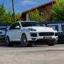 Porsche Cayenne Diesel Platinum Edition Aut. Blanco - thumbnail 10