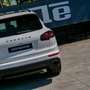 Porsche Cayenne Diesel Platinum Edition Aut. Blanco - thumbnail 22