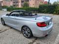 BMW 220 Cabrio Sport Diesel Plateado - thumbnail 2