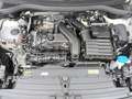 Volkswagen Tiguan Life 1.5 eTSI DSG NAV LED 4xKAM GJ-REIF APP PDC S Weiß - thumbnail 21