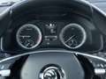 Skoda Kodiaq 2.0 TDI Style 4x4 DSG AHK+LED+STANDHZG Grau - thumbnail 13