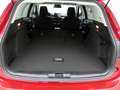 Ford Focus Turnier 1.0 EcoB Aut Titanium SHZ+Kamera Rosso - thumbnail 9