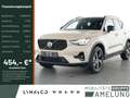 Volvo XC40 B3 B DKG Plus Dark SHZ LED NAVI H/K 360° Beige - thumbnail 1