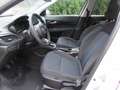 Fiat Tipo Kombi 1.3 MultiJet City Life Blanc - thumbnail 9