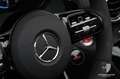Mercedes-Benz AMG GT AMG GT R Roadster 1 of 750/Burmester/TrackPace Schwarz - thumbnail 17
