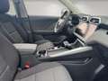 MG ZS 1.5 Hybrid+ Standard AppleCarPlay+Rückfahrkamera+D Grau - thumbnail 14