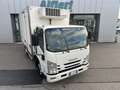 Isuzu NPR P60C15Frigo-20°C FRCX06 27 4150x2050x2000kg2280 Blanc - thumbnail 1