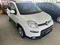 Fiat Panda 1.0 FireFly S&S Hybrid City Life Weiß - thumbnail 2