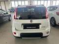 Fiat Panda 1.0 FireFly S&S Hybrid City Life Weiß - thumbnail 5
