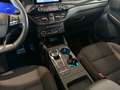 Ford Kuga 2,0 EcoBlue AWD ST-Line Aut.*Kamera*Spur*Totwin... Bleu - thumbnail 24