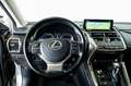Lexus NX 300 300h Executive Navigation 4WD Gris - thumbnail 17