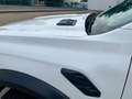 Ford Ranger Ranger Raptor 3.0 ecoboost V6 292cv auto Blanco - thumbnail 19