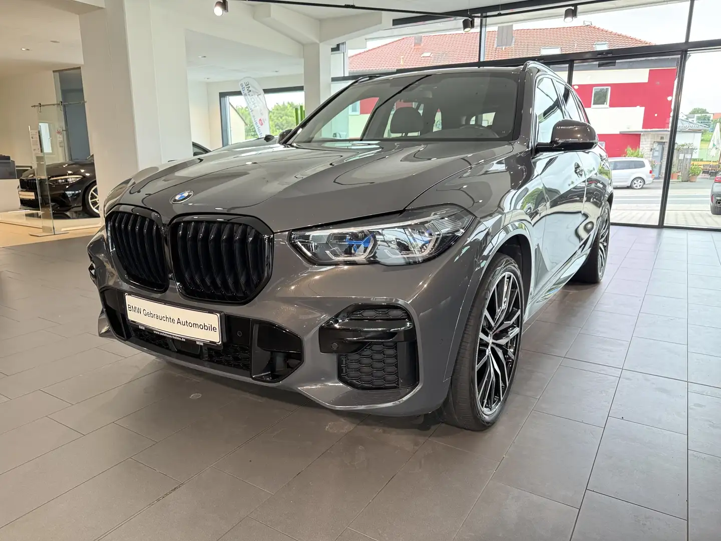 BMW X5 xDrive30d M Sport M Sportpaket Head-Up HiFi Gris - 1