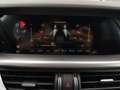 Alfa Romeo Stelvio Veloce 210cv AT8 Q4 Xeno Pelle Sens+Camera BLIS Wit - thumbnail 38