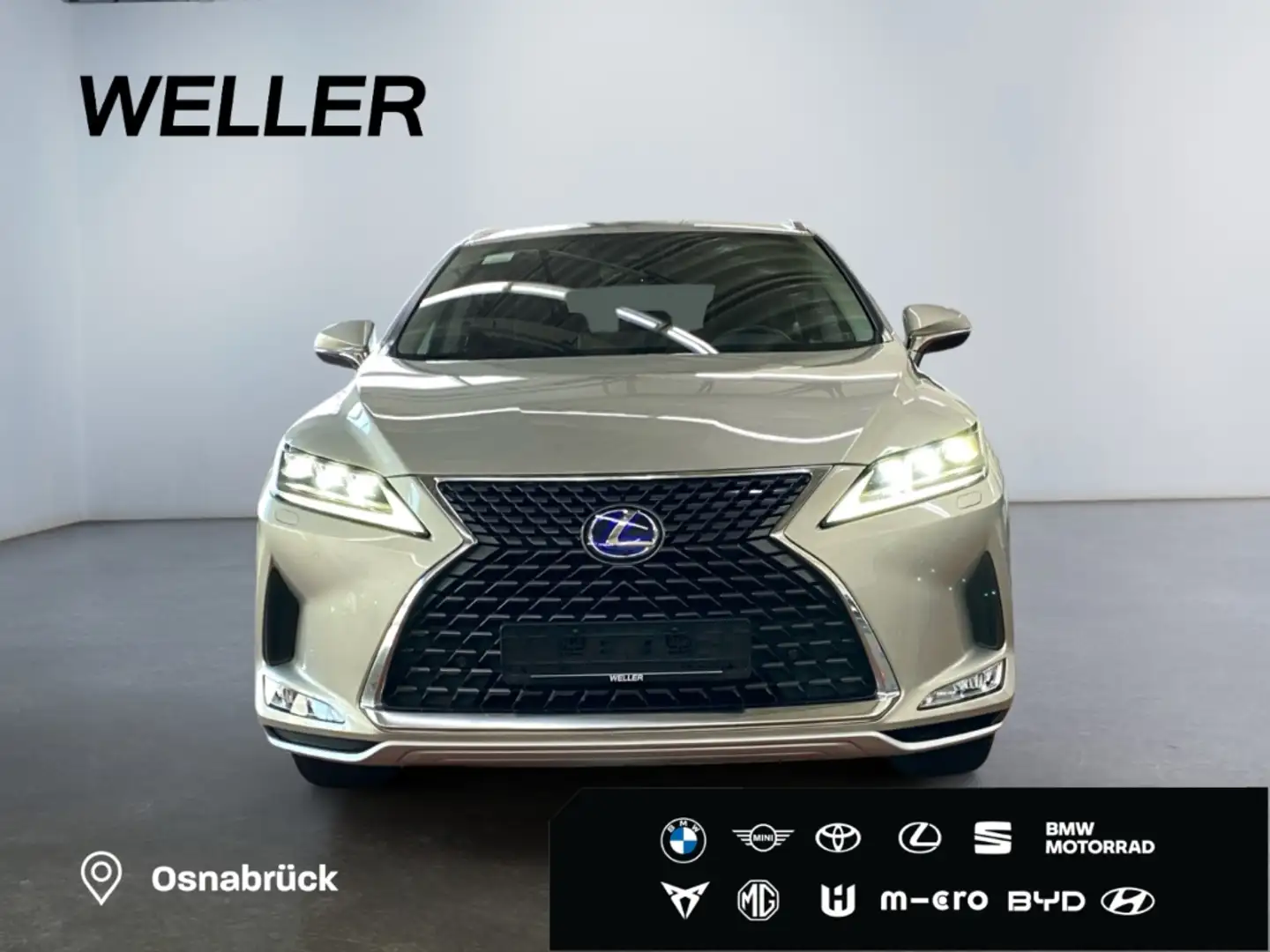 Lexus RX 450h Executive Line *Allrad*Leder*4x SHZ*CAM* Grau - 2