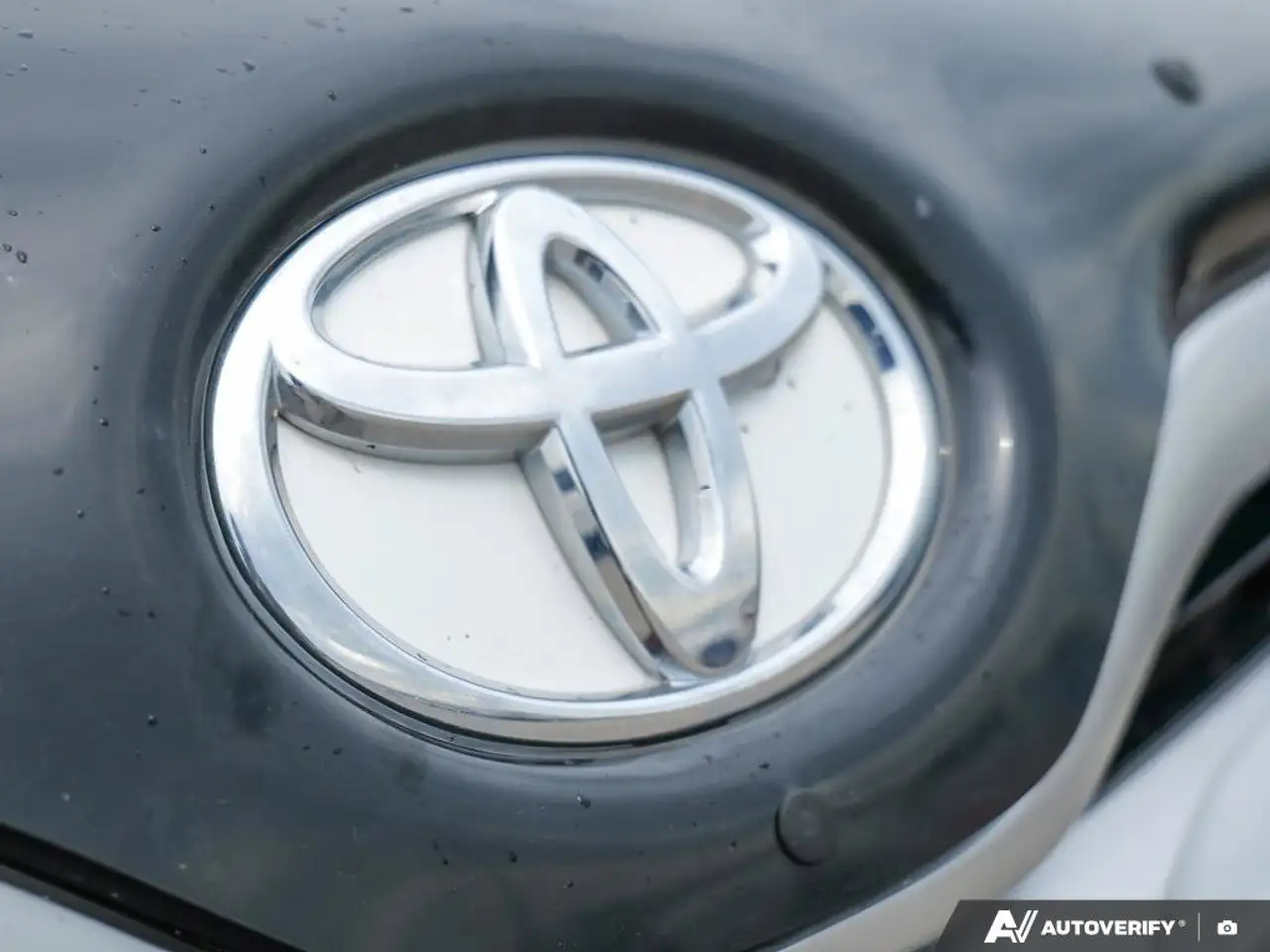 Toyota Venza снимка Toyota Venza