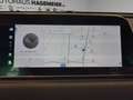 GWM ORA 03 ORA 03 300 >>ehemalige UPE: 39.680 EUR<< Blanc - thumbnail 11