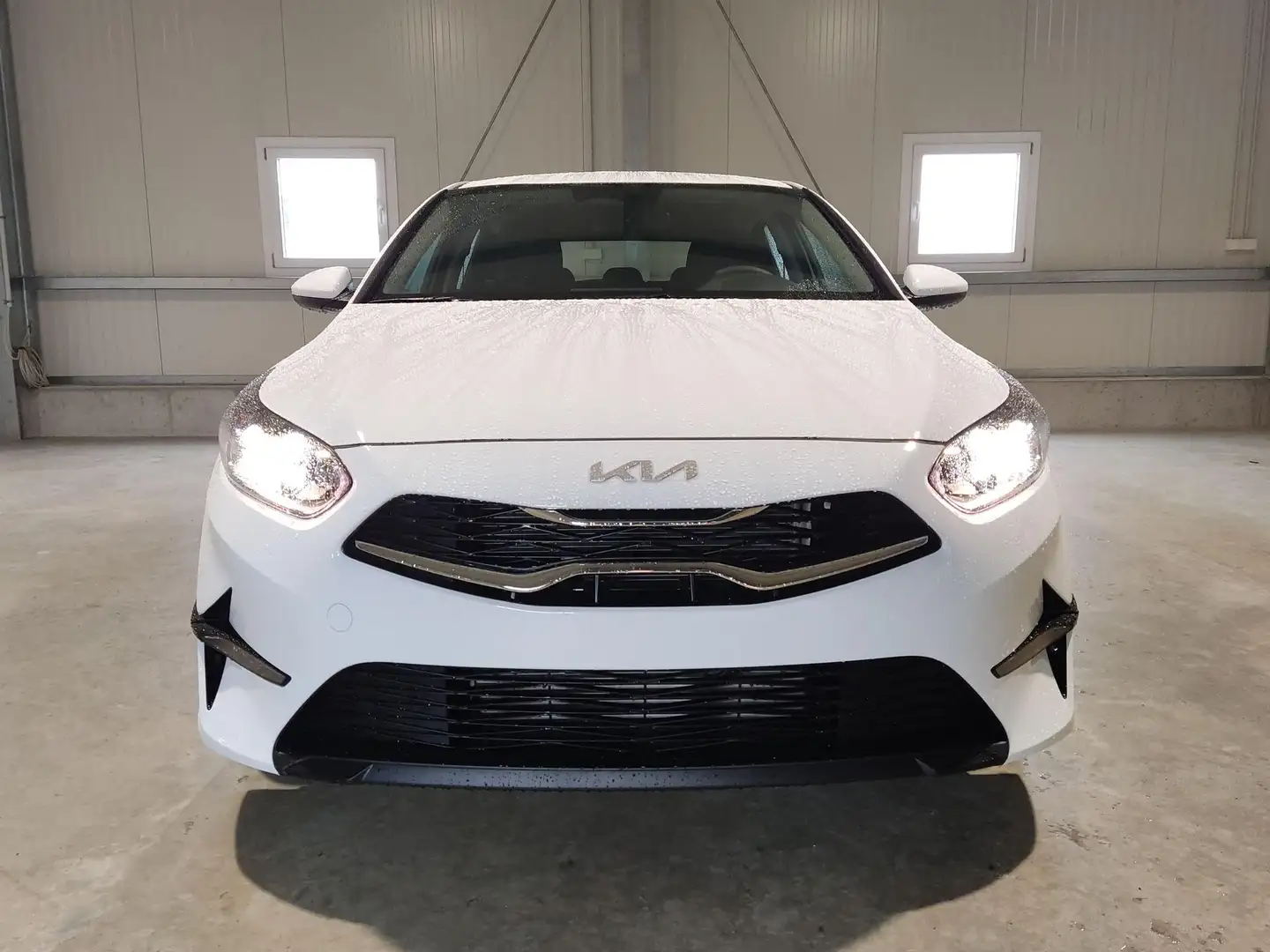 Kia Ceed / cee'd Spin 1.0 T-GDI 100 PS Navi-Rückfahrkamera-Tempo... Weiß - 2