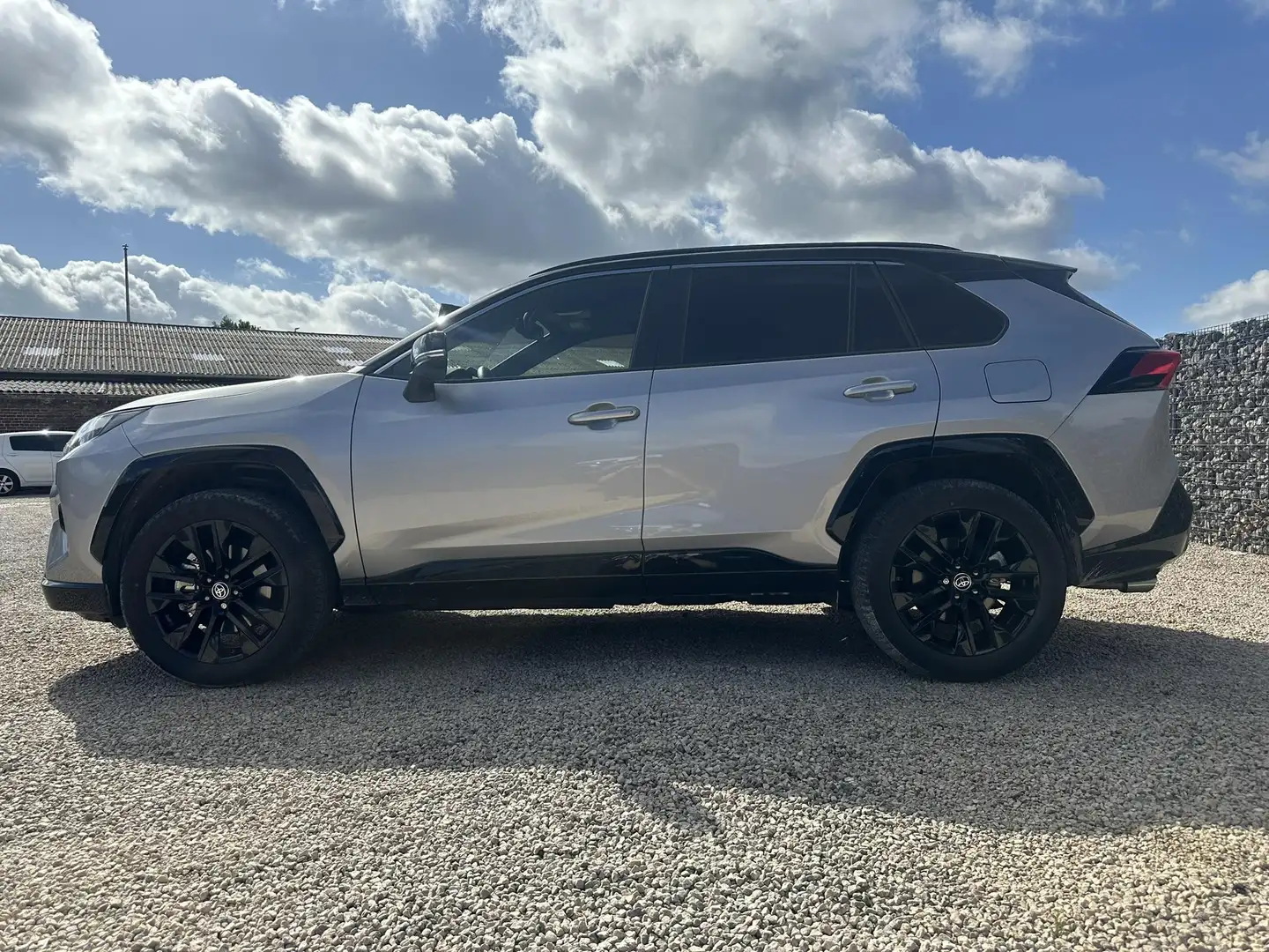 Toyota RAV 4 2.5 HEV Dynamic Plus e-CVT 2WD Gris - 2