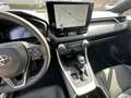 Toyota RAV 4 2.5 HEV Dynamic Plus e-CVT 2WD Gris - thumbnail 10