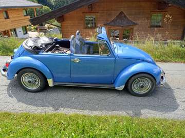 abgeschnittener Käfer