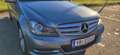 Mercedes-Benz C 220 T CDI Avantgarde A-Edition plus Automatic Grau - thumbnail 12
