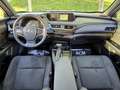 Lexus UX 250h Business Navigation 2WD Mavi - thumbnail 10