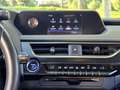 Lexus UX 250h Business Navigation 2WD Azul - thumbnail 19