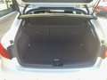 Audi A1 SPB 35 TFSI S tronic Bianco - thumbnail 15