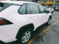 Toyota RAV 4 ibridoo - thumbnail 2